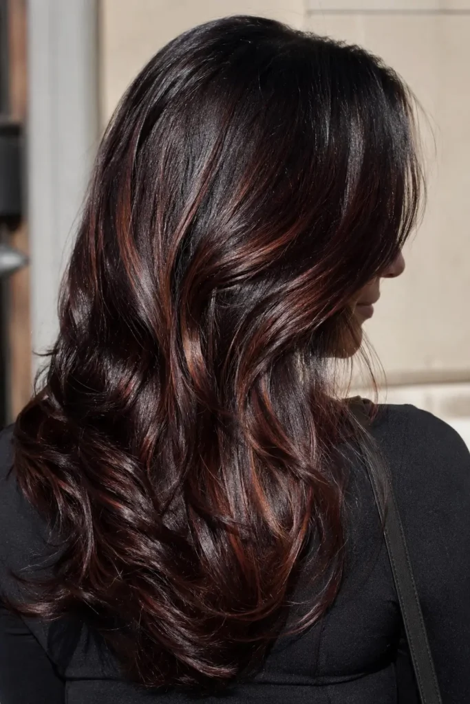 woman with long, glossy black hair enhanced by rich mahogany brown highlights, shown mostly from the back with a soft angled side profile.